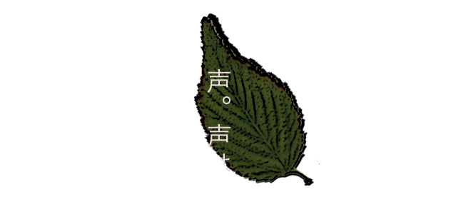 Kenji Ozawa 小沢健二 オペラシティ 第１夜